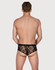 Back view of the Luné d’Or Veil Lace Brief in black, showing the full lace seat.