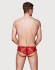 Back view of the Luné d’Or Veil Lace Brief in red, showing the full lace seat.